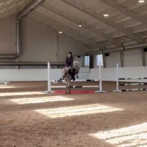 Allround hästar till salu: Älskad ponny med internationella meriter!  i Värmdö - Video 3