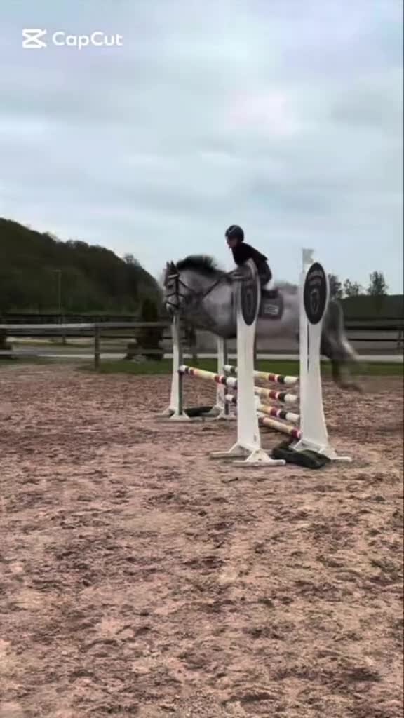 Hoppning hästar till salu: Kvalitetsponny med stor kapacitet  - Video 1