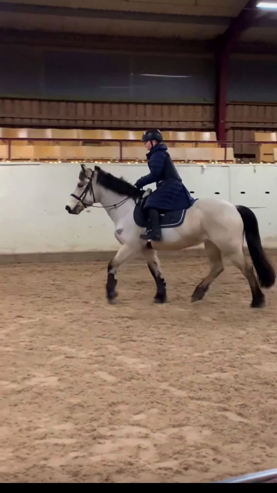 Allround hästar sökes: Söker foderhäst - Video 4