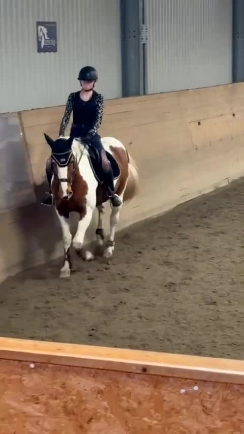 Allround hästar sökes: Söker snäll och mysig häst - Video 1