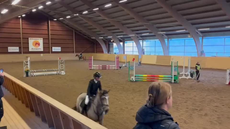 Hoppning hästar till salu: Underbar maxad c-ponny!  - Video 1