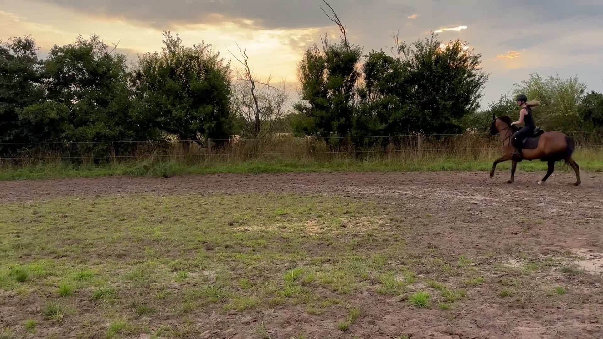 Hoppning hästar till salu: Fantastisk springpony  - Video 2