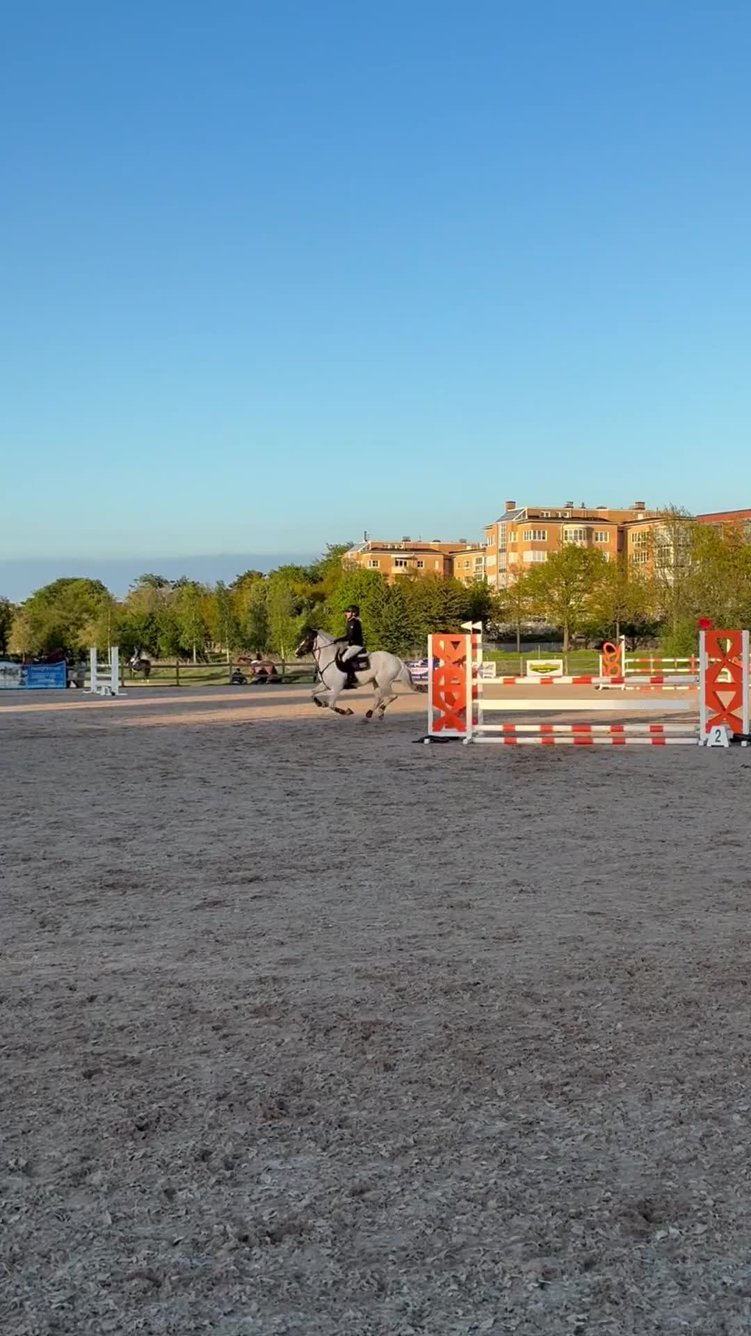 Hoppning hästar till salu: Tävlings ponny på 7år, för det högre klasserna - Video 2