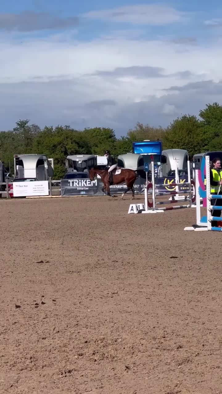 Hoppning hästar till salu: Cool ”autoride” för championaten - Video 3