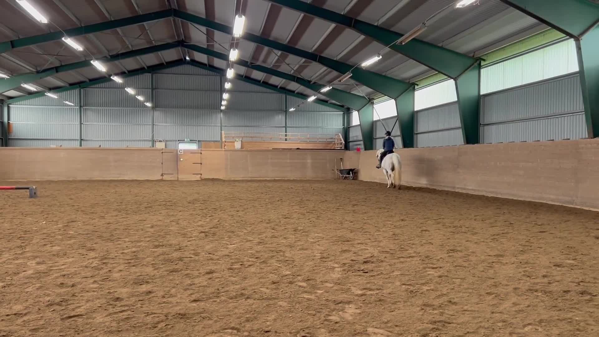 Allround hästar till salu: Välutbildad D-ponny - Video 2