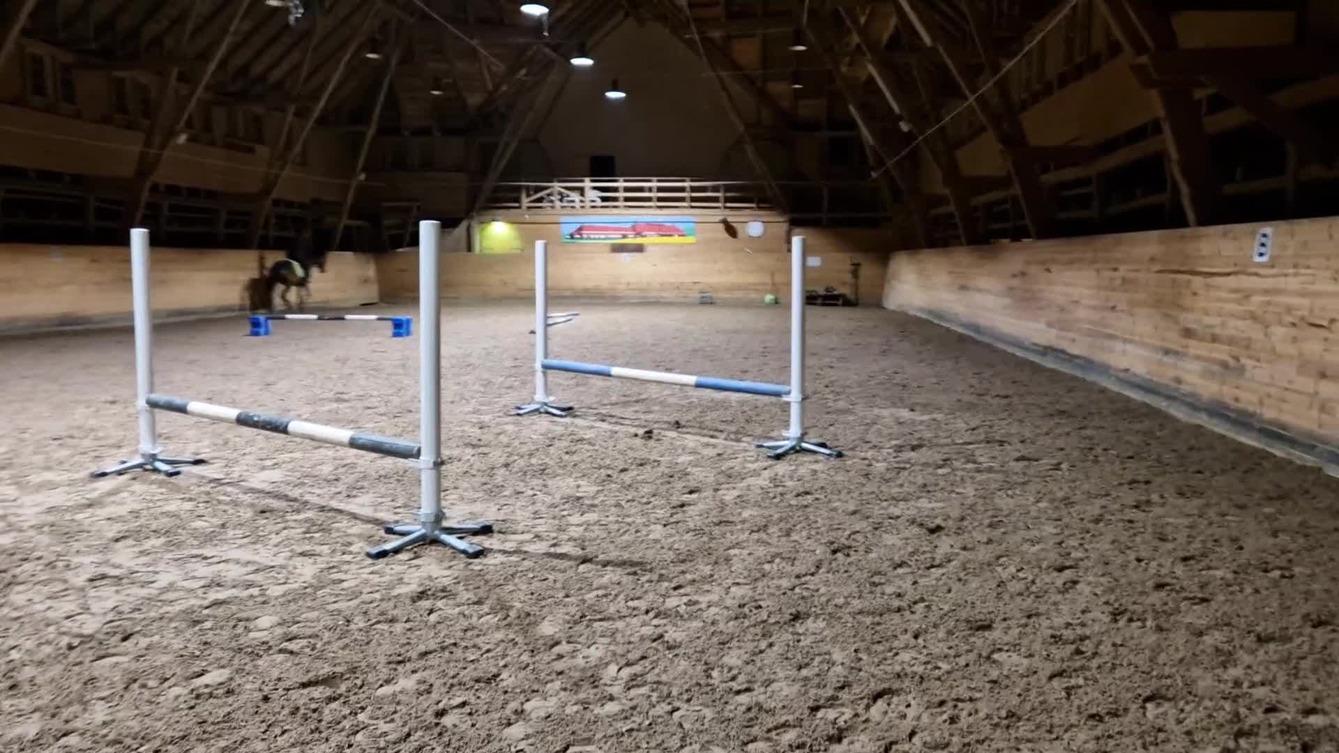  medryttarhäst sökes: Medryttarhäst sökes i Nyköping  i Nyköping - Video 2