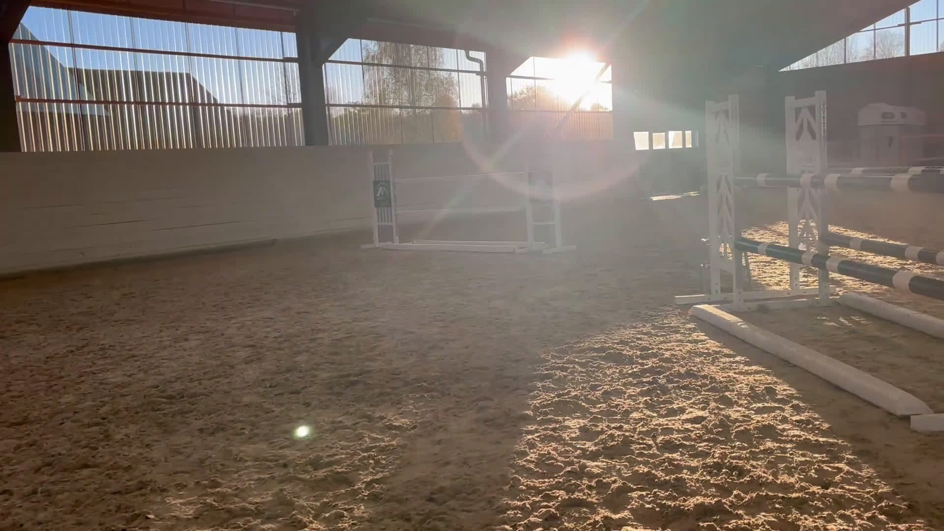 Hoppning hästar till salu: Maxad c ponny sto  i Kopparberg - Video 1