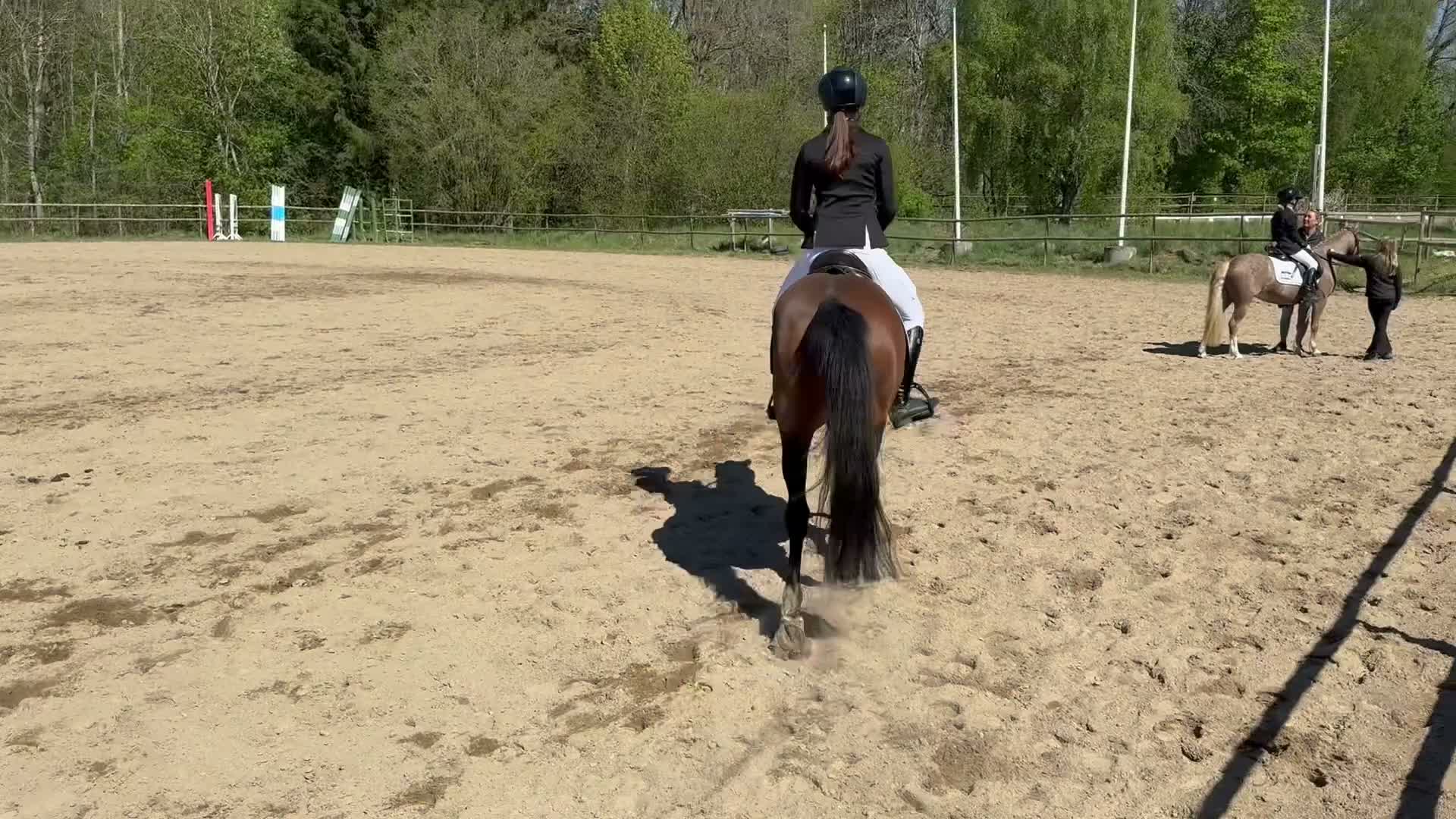 Allround hästar till salu: Pigg välriden ponny i Lund - Video 1