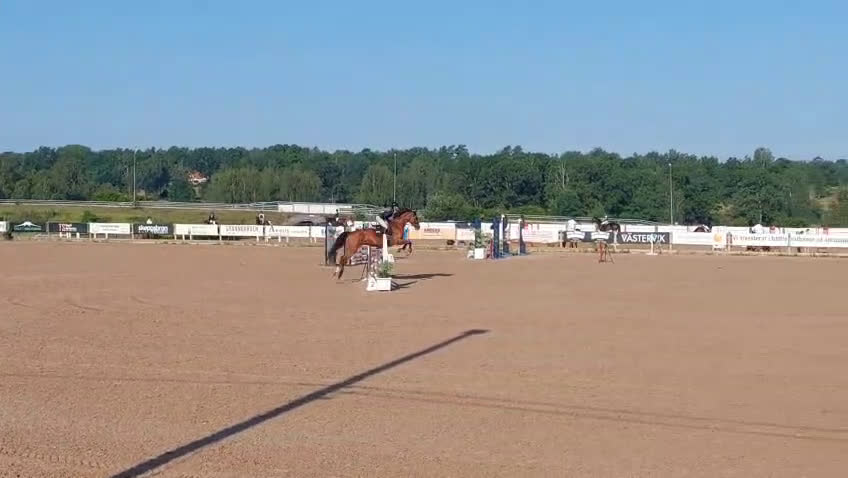 Hoppning hästar till salu: Snygg och sportig valack  i Västervik - Video 1