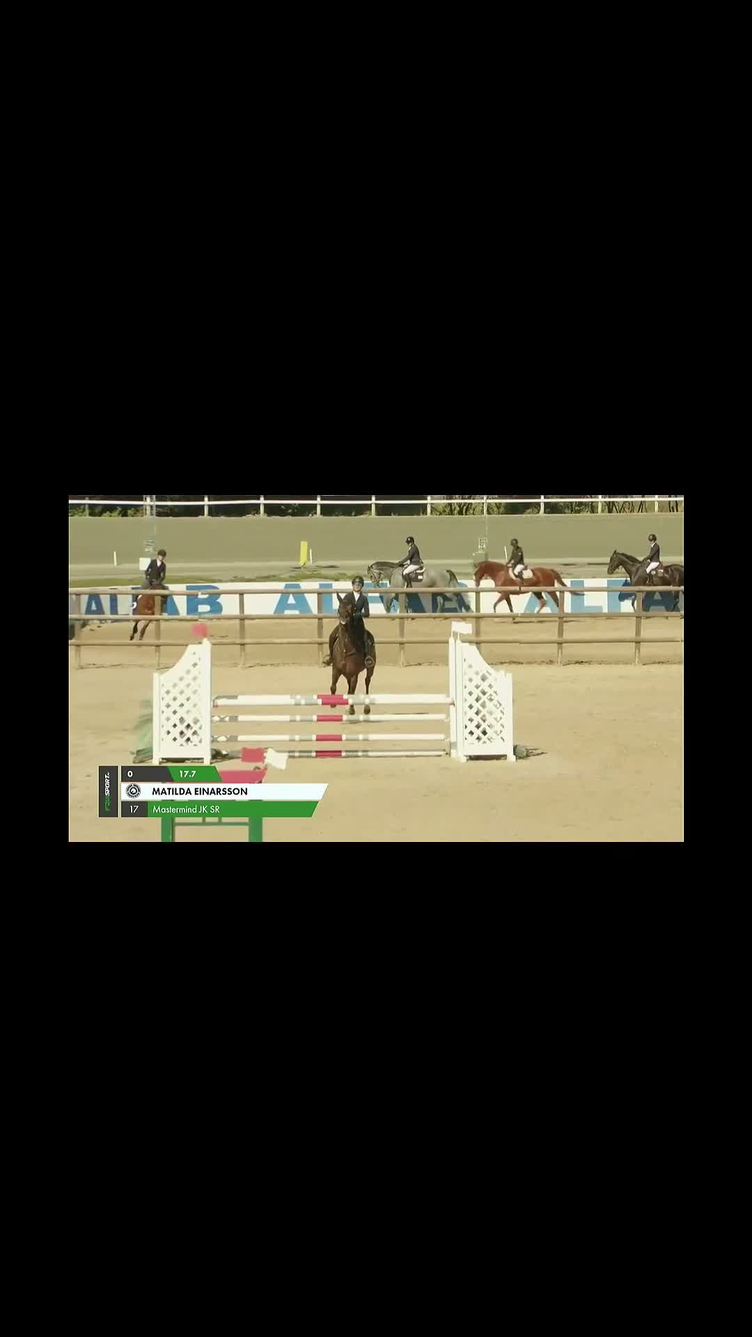 Hoppning hästar till salu: 9-årig valack söker sin ryttare! - Video 1