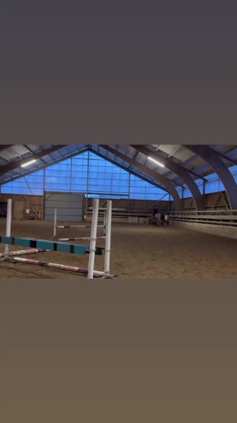 Allround hästar till salu: Multitalang med potential  i Nybro - Video 1