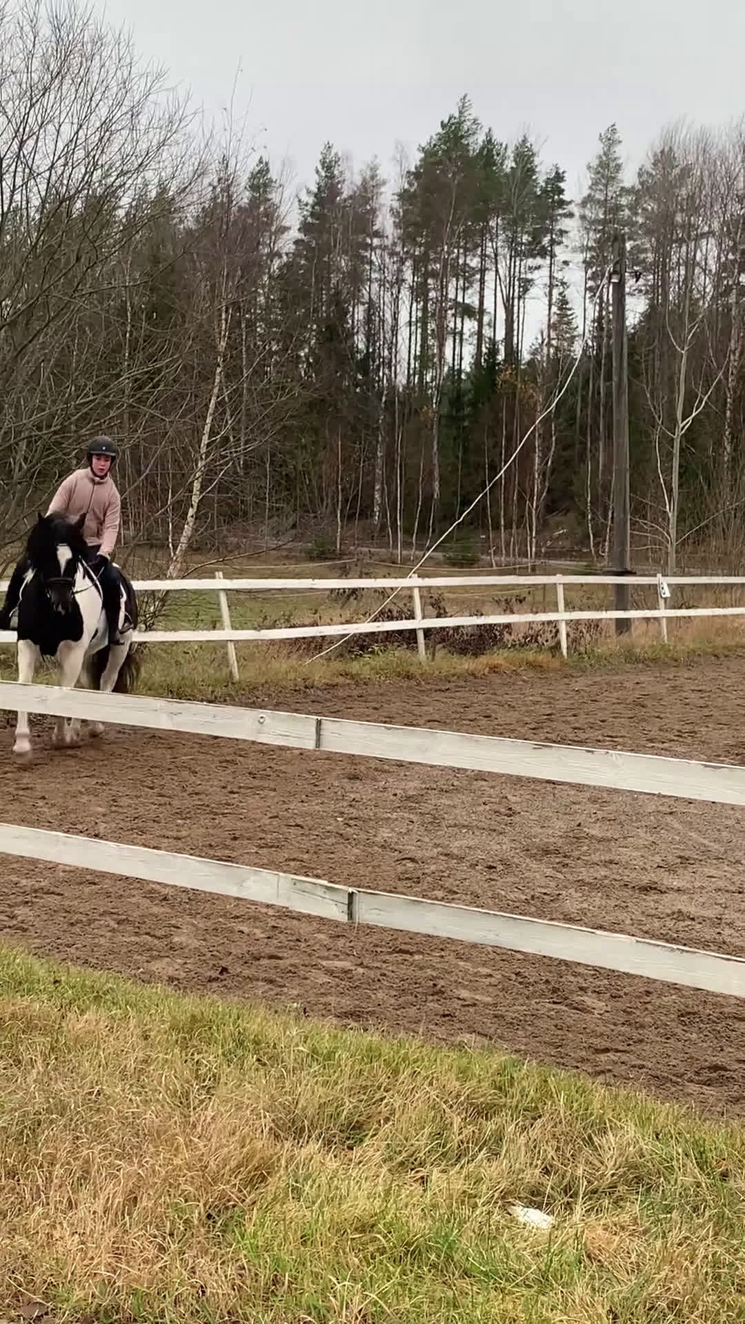  medryttarhäst sökes: Söker medryttarponny eller liten storhäst i Huddinge - Video 2