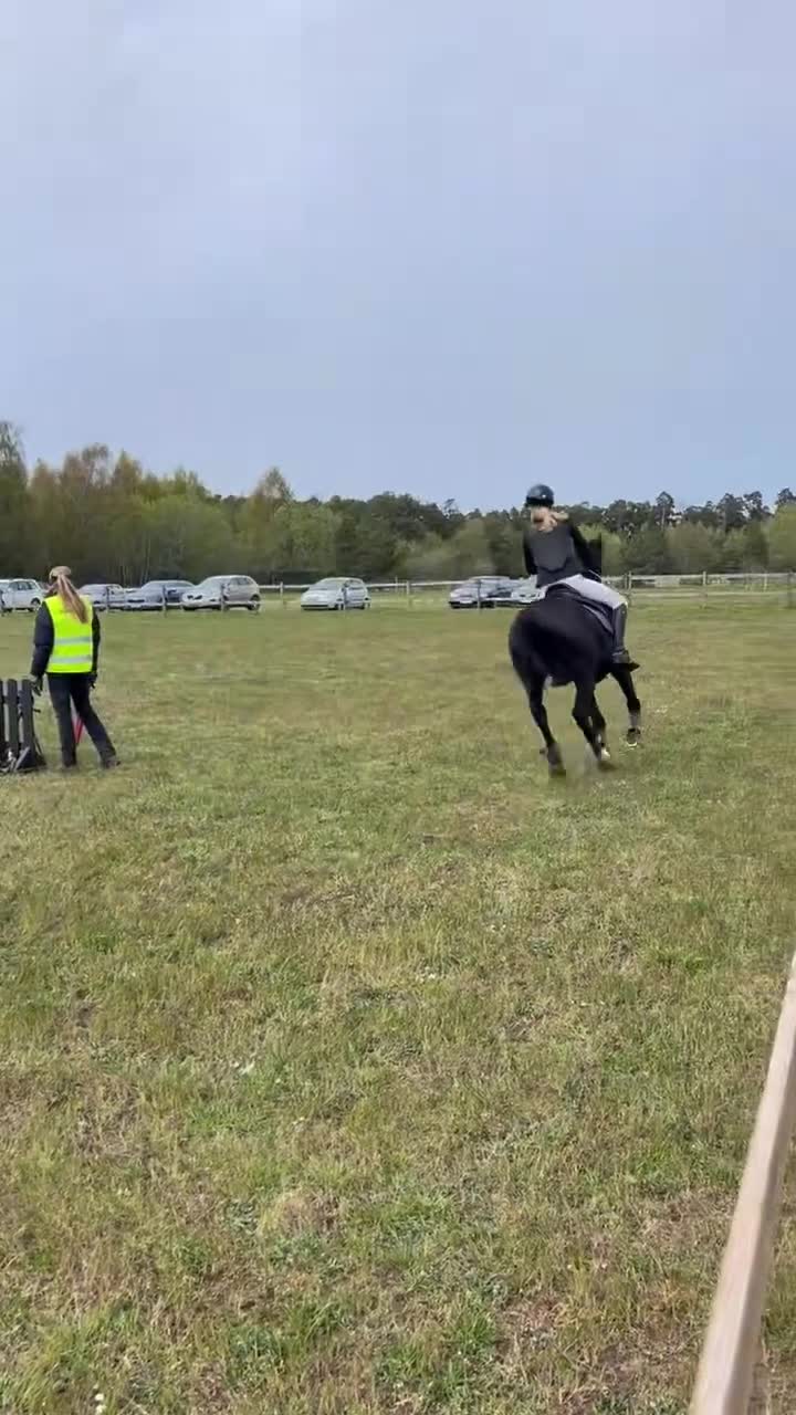 Hoppning hästar till salu: Vältränad d-ponny! i Stånga - Video 2
