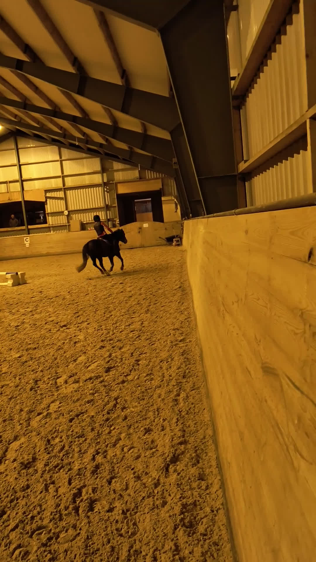 Allround hästar till salu: Welsh mountain sto med utstrålning - Video 4