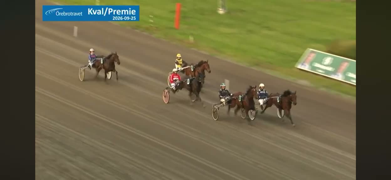 Trav hästar till salu: Till salu – 2-årig sto - Video 1