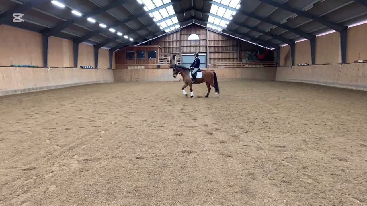 Allround hästar till salu: ⭐️ Lovande allroundponny ⭐️ (nu annons med filmer) i Össjö - Video 1