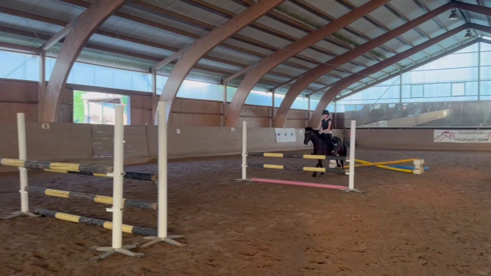 Allround hästar till salu: Snäll läromästare  i Upplands Väsby - Video 2