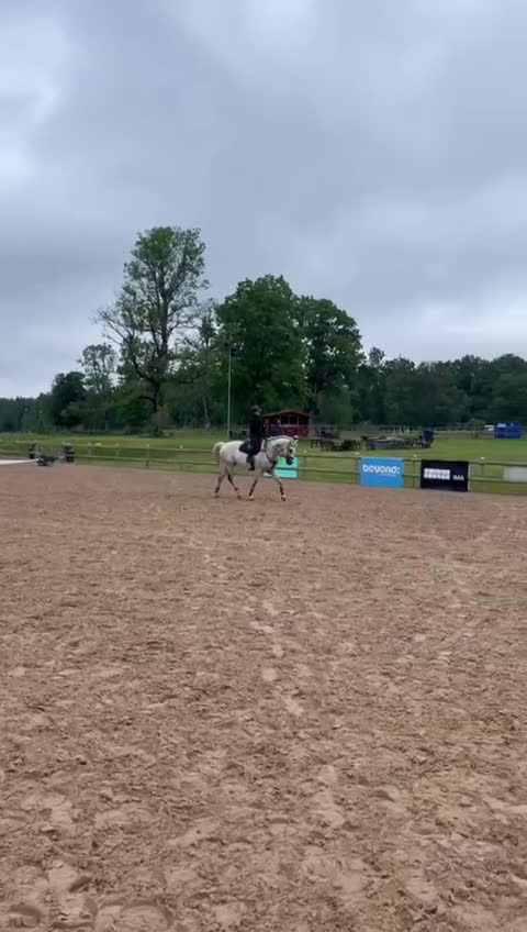 Hoppning hästar till salu: Stabil och erfaren läromästare i hoppning i Värnamo - Video 4