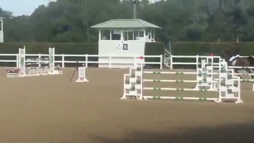 Hoppning hästar till salu: Tävlingssto med stort hjärta och kapacitet i Västerås - Video 4