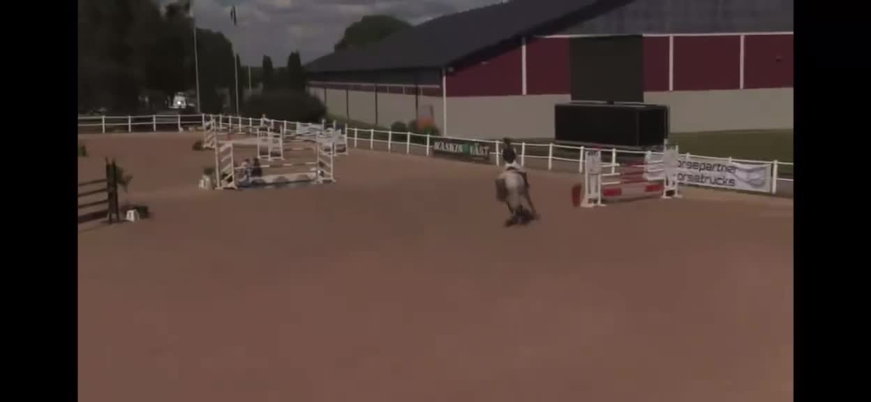 Hoppning hästar till salu: Hopphäst - Video 1