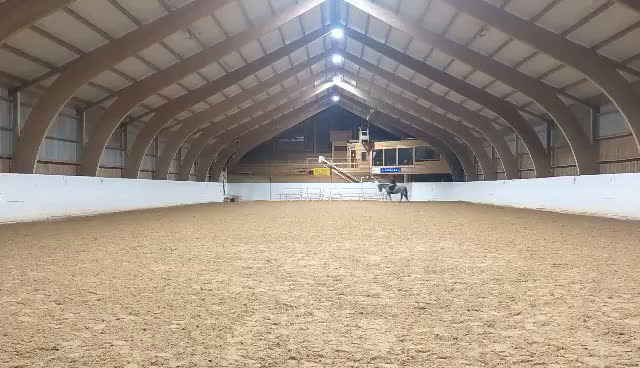 Allround hästar till salu: Trevlig allroundhäst i Avesta - Video 3