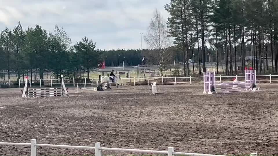 Allround hästar till salu: Moflos Zibel  i Långaryd - Video 4