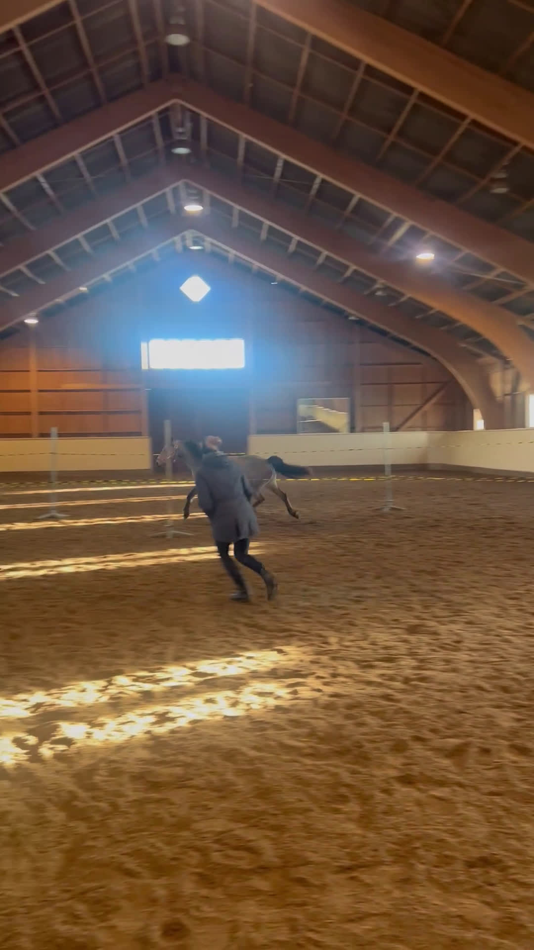 Allround hästar till salu: Svenskfödd connemara med stor kapacitet - Video 1