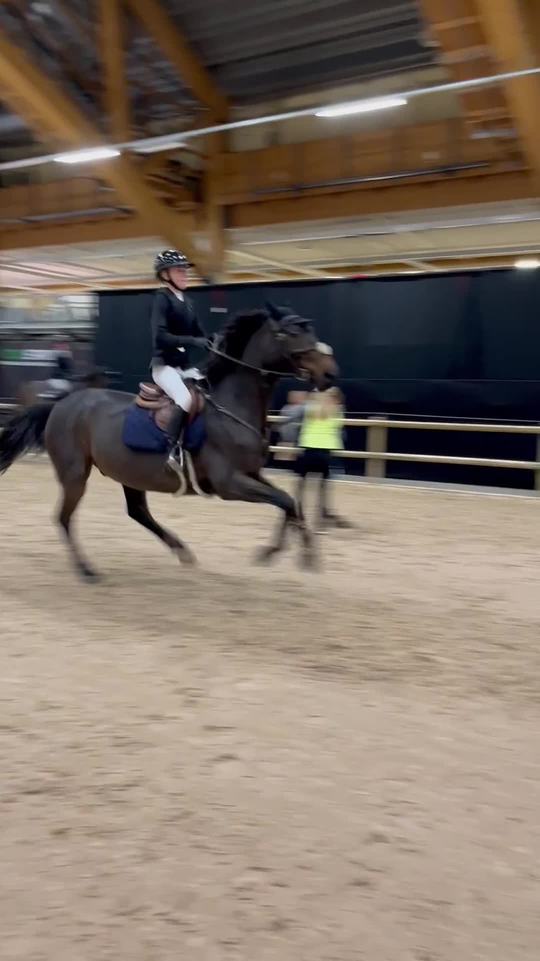 Hoppning hästar till salu: 🌟 Unik läromästare -CH/Övergångshäst 🌟 - Video 2