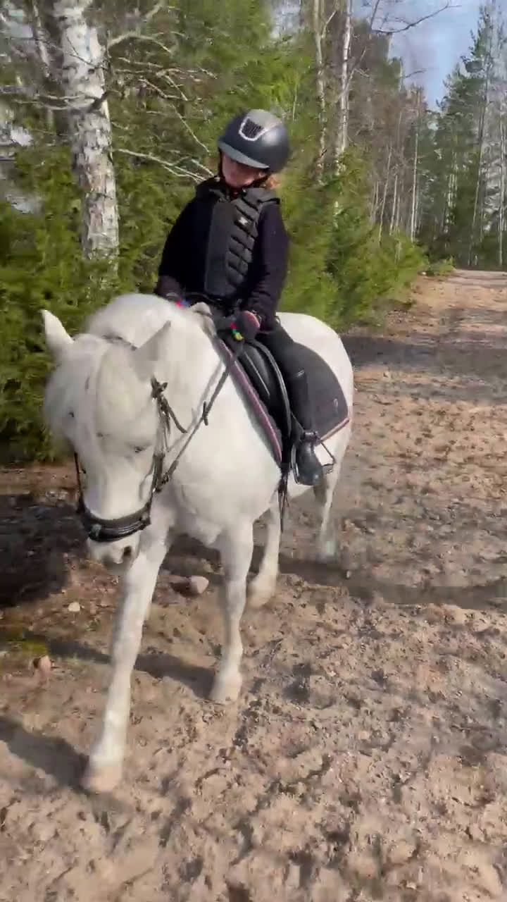 Allround hästar till salu: Drömponny i Sundsvall - Video 4
