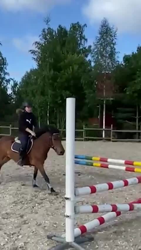 Hoppning hästar till salu: Weldh part-bred B-ponny i Helsingfors - Video 4