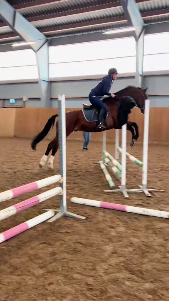  medryttarhäst sökes: Söker Medryttar/ foderhäst i Fjälkinge - Video 1