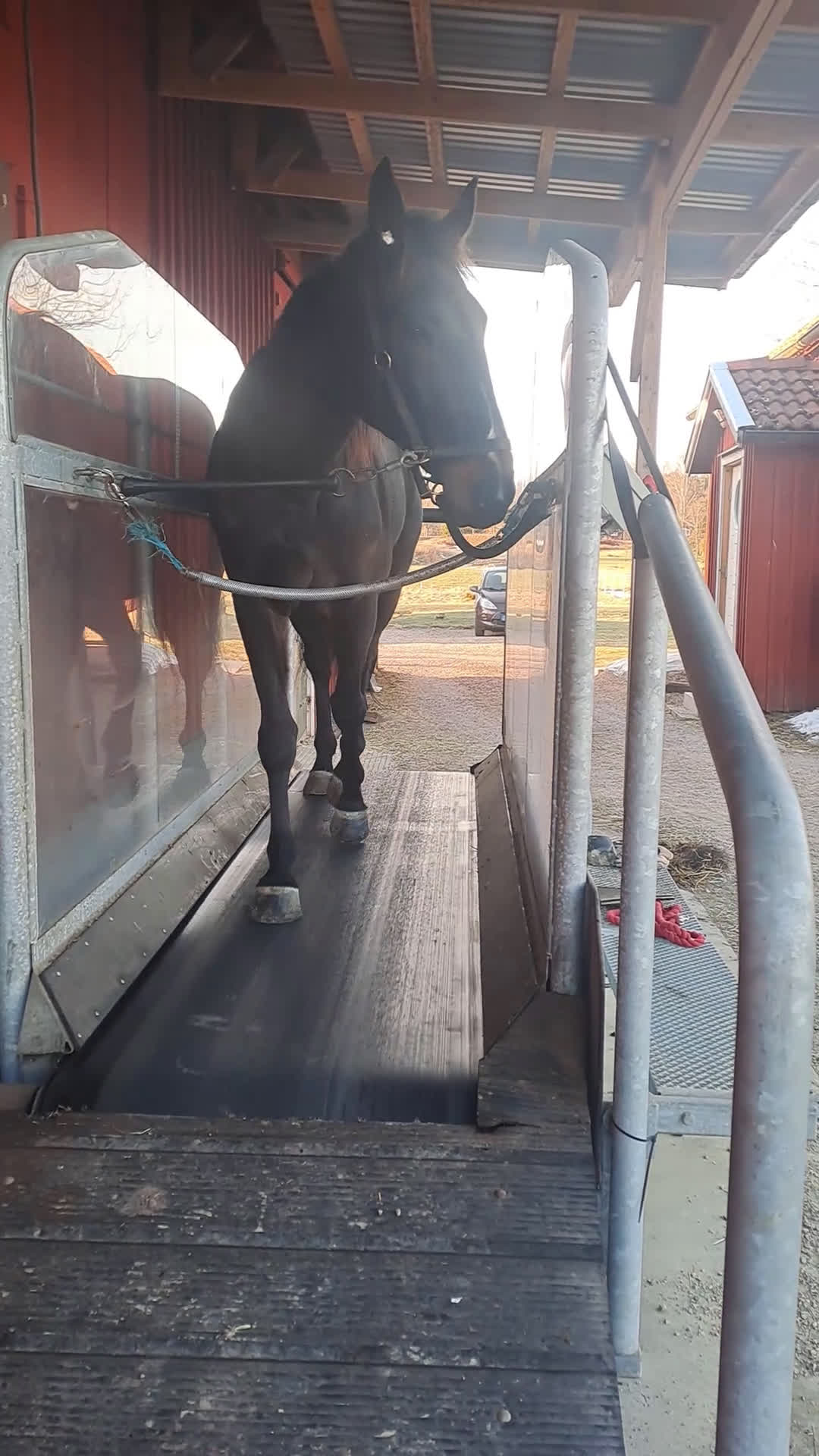 Övrig Hästutrustning hästutrustning till salu: Skrittmaskin i Alingsås - Video 1