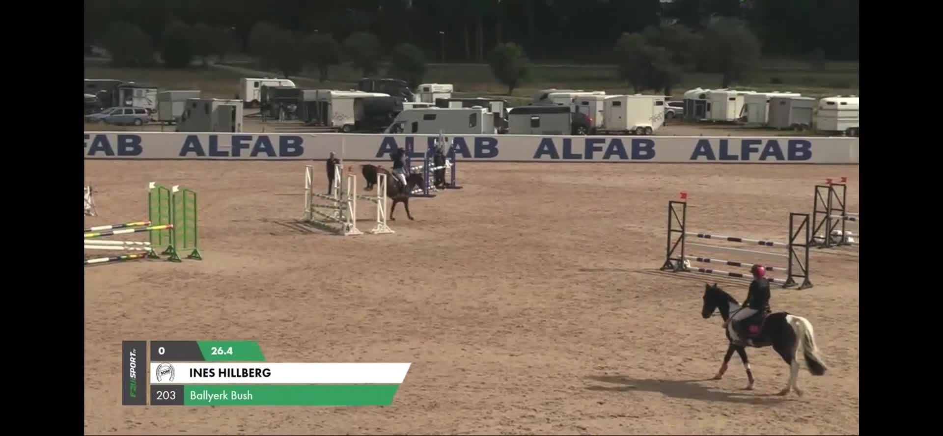 Hoppning hästar till salu: Välutbildad läromästare med hjärta av guld ❤️ - Video 5