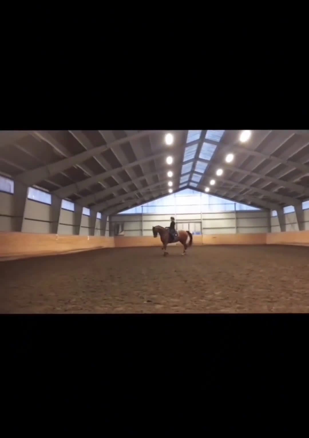 Dressyr hästar till salu: Reserverad! Snäll och okomplicerad läromästare - Video 3