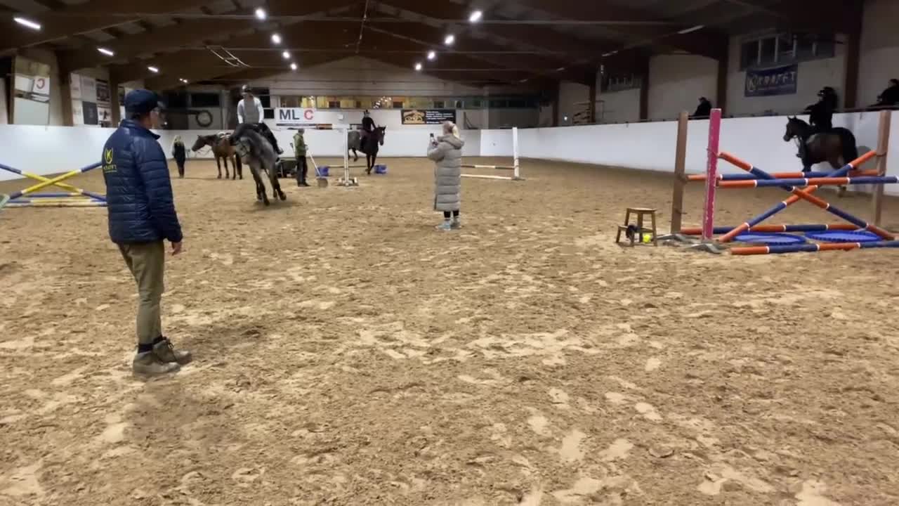 Allround hästar till salu: Tävlings/träningskompis eller lyxigare hobbyhäst - Video 5