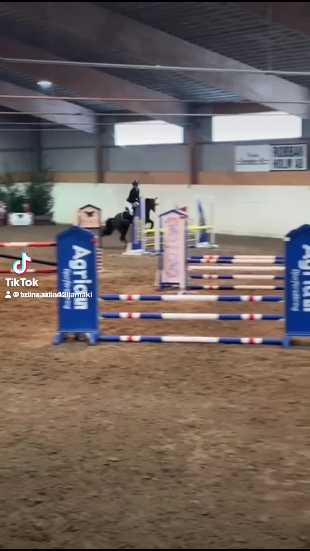 Hoppning hästar till salu: ROSETTPLOCKARE 🏆🥇 i Fagersta - Video 3