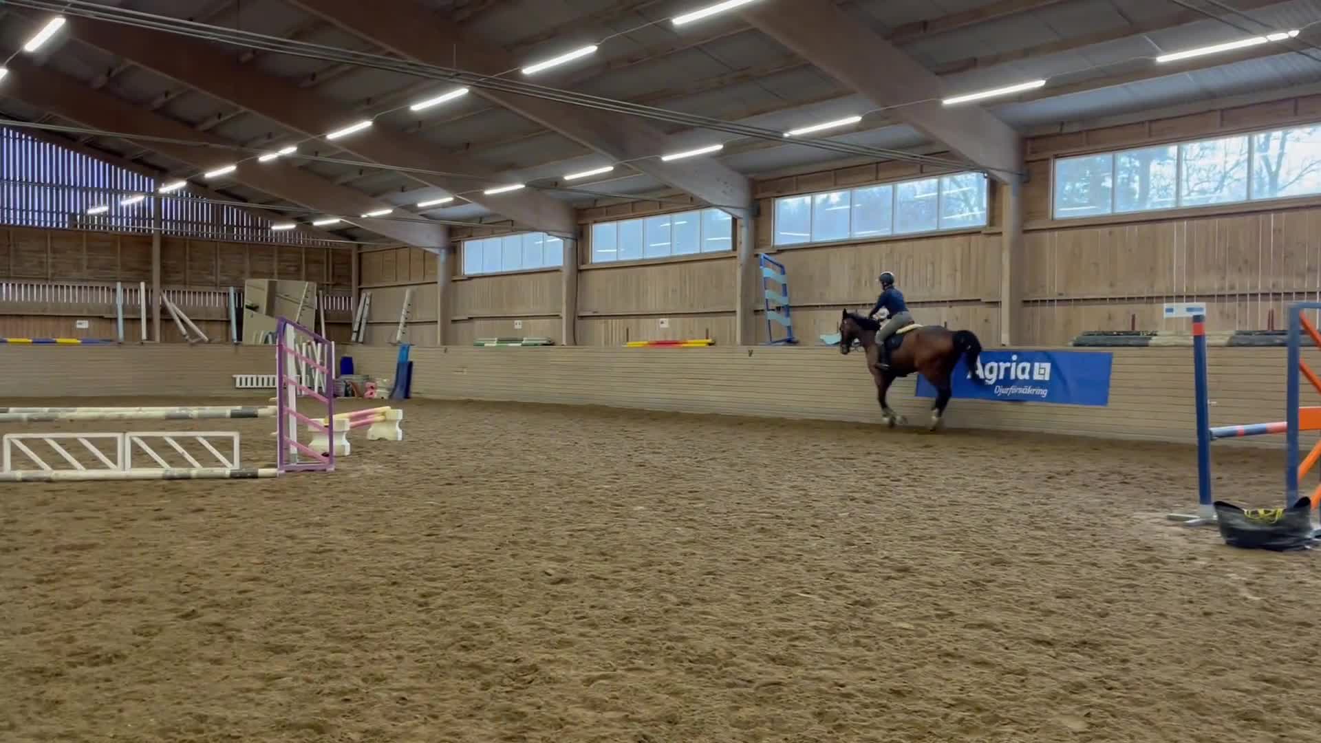 Hoppning hästar till salu: Stor hoppvalack i Kungsängen - Video 3