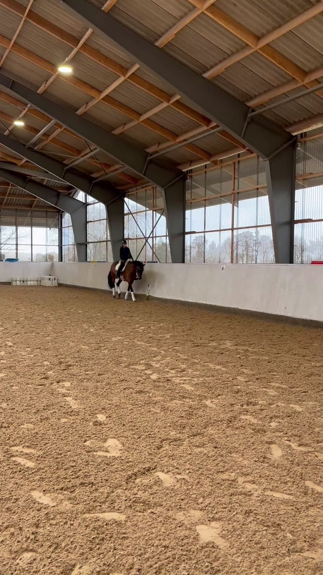 Dressyr hästar till salu: Lovande dressyrsto i Flyinge - Video 4