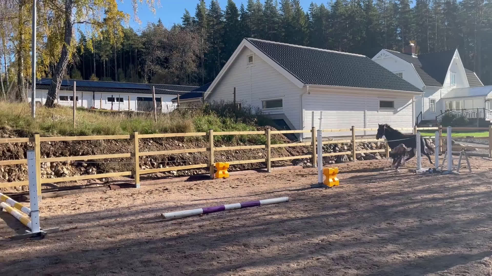 Allround hästar till salu: Fina Pommes-ponnyn i Vetlanda - Video 1