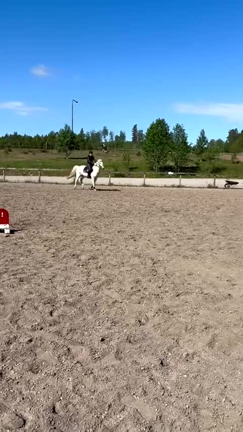  hästjobb finnes: Hästskötar jobb sökes  i Bollebygd - Video 2