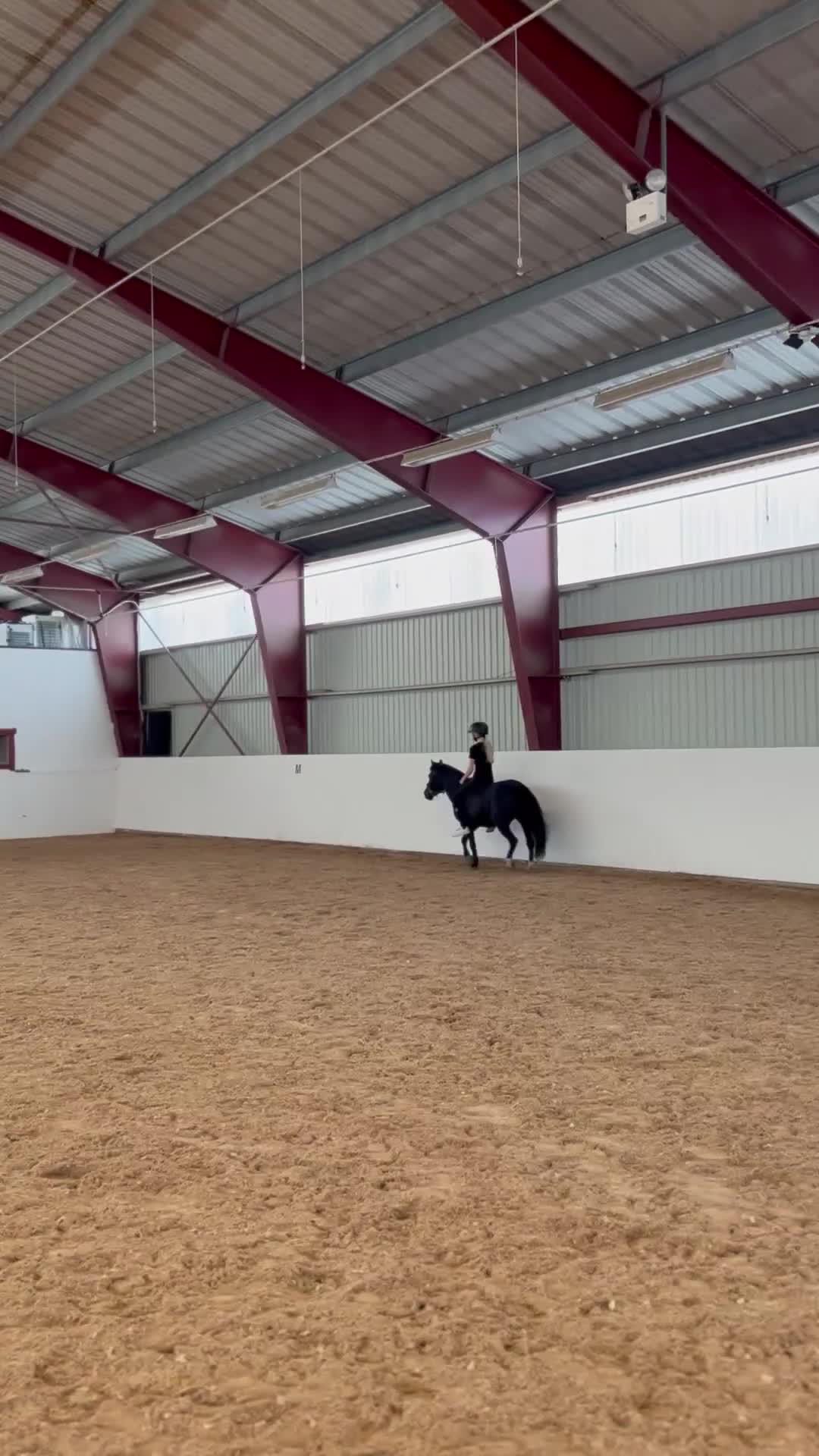  medryttarhäst sökes: Söker medryttarhäst! i Hässelby - Video 2