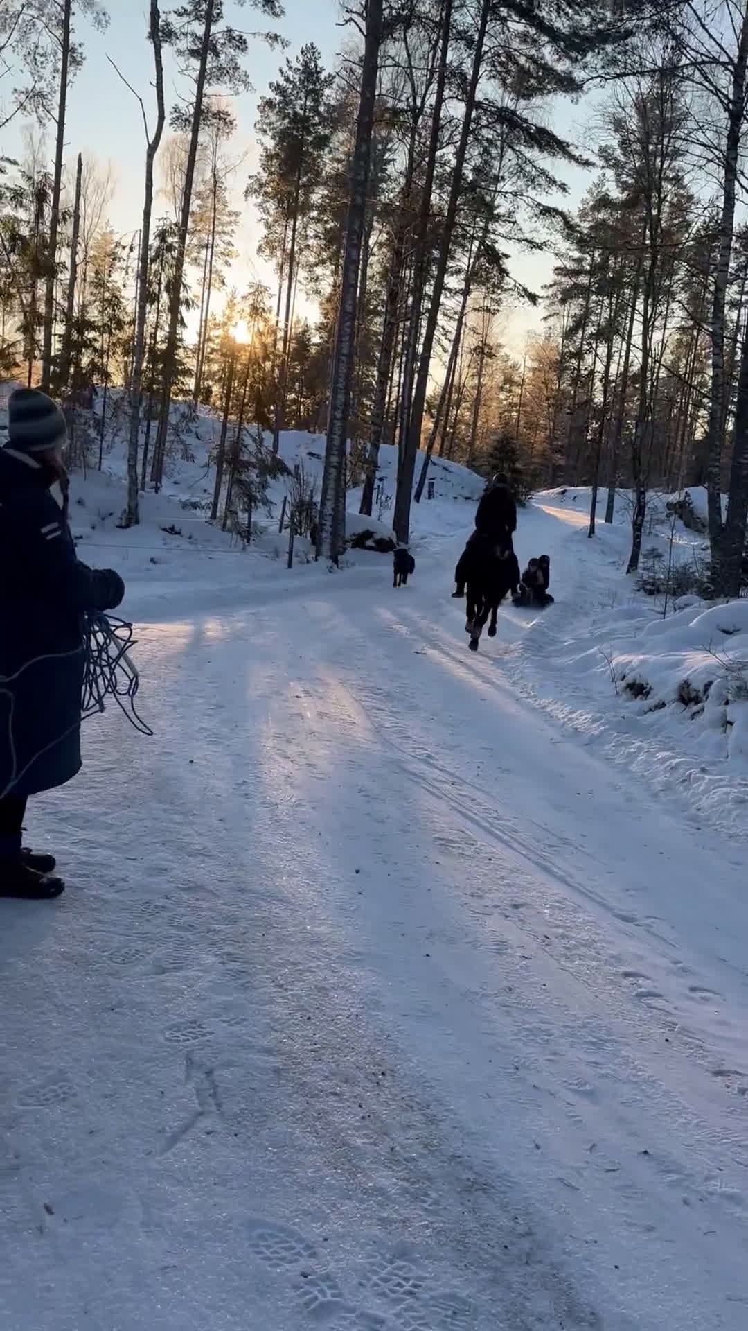 Allround hästar till salu: Fantastisk läromästare! - Video 3