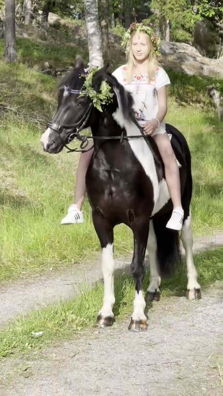 Sällskap hästar till salu: Riktigt gullig ponny för sällskap och skogsridning - Video 1