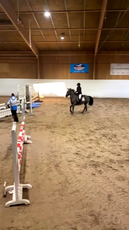 Hoppning hästar till salu: 🌟Fantastisk hopponny 🌟 i Adelsö - Video 1