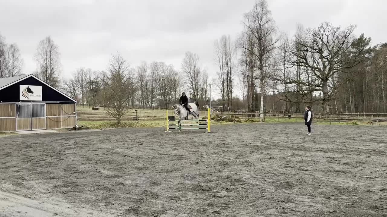 Hoppning hästar till salu: Talangfull häst med fin framtid 🌟 - Video 1