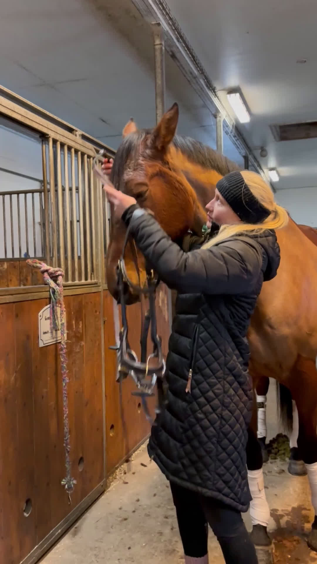 Allround hästar till salu: En riktig bästa vän  i Skara - Video 1