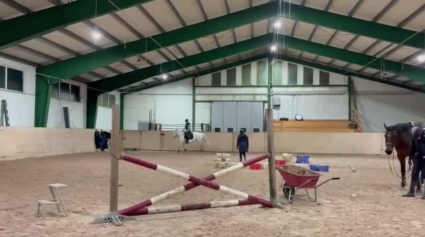 Dressyr hästar till salu: Välutbildad läromästare söker kärleksfullt hem - Video 2
