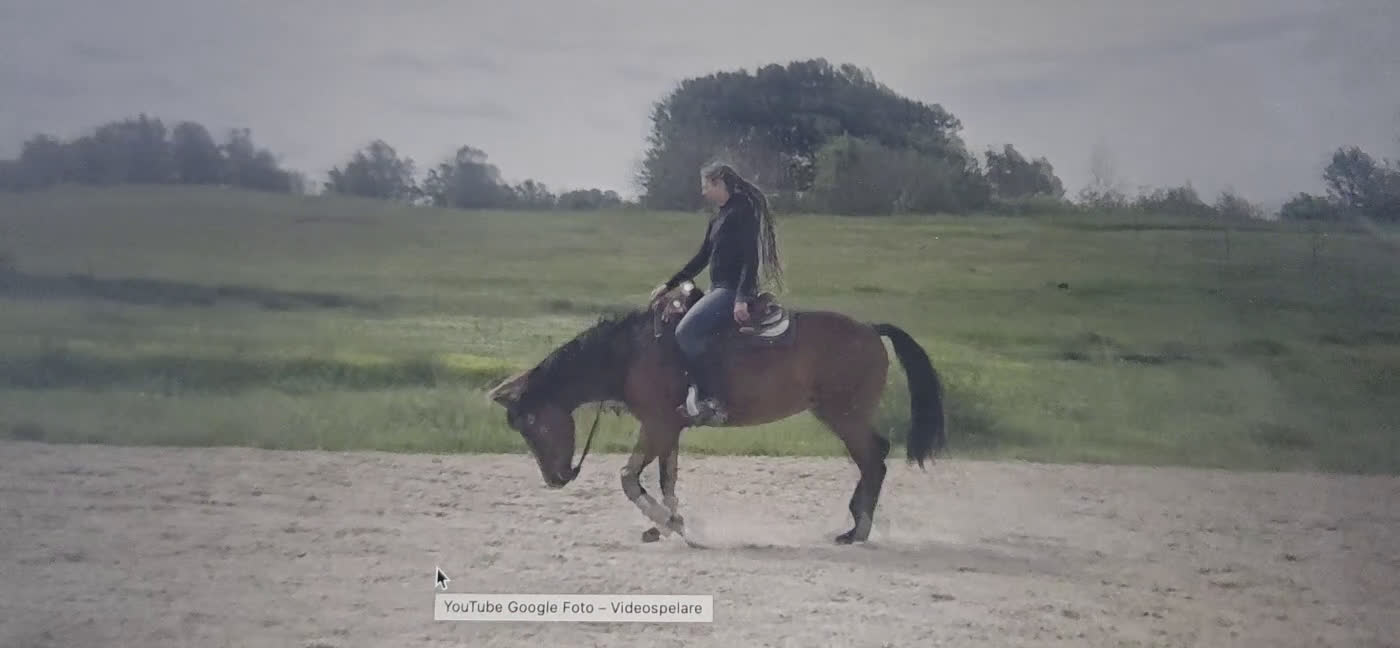 Western hästar till salu: Välutbildad hobbyhäst - Video 1