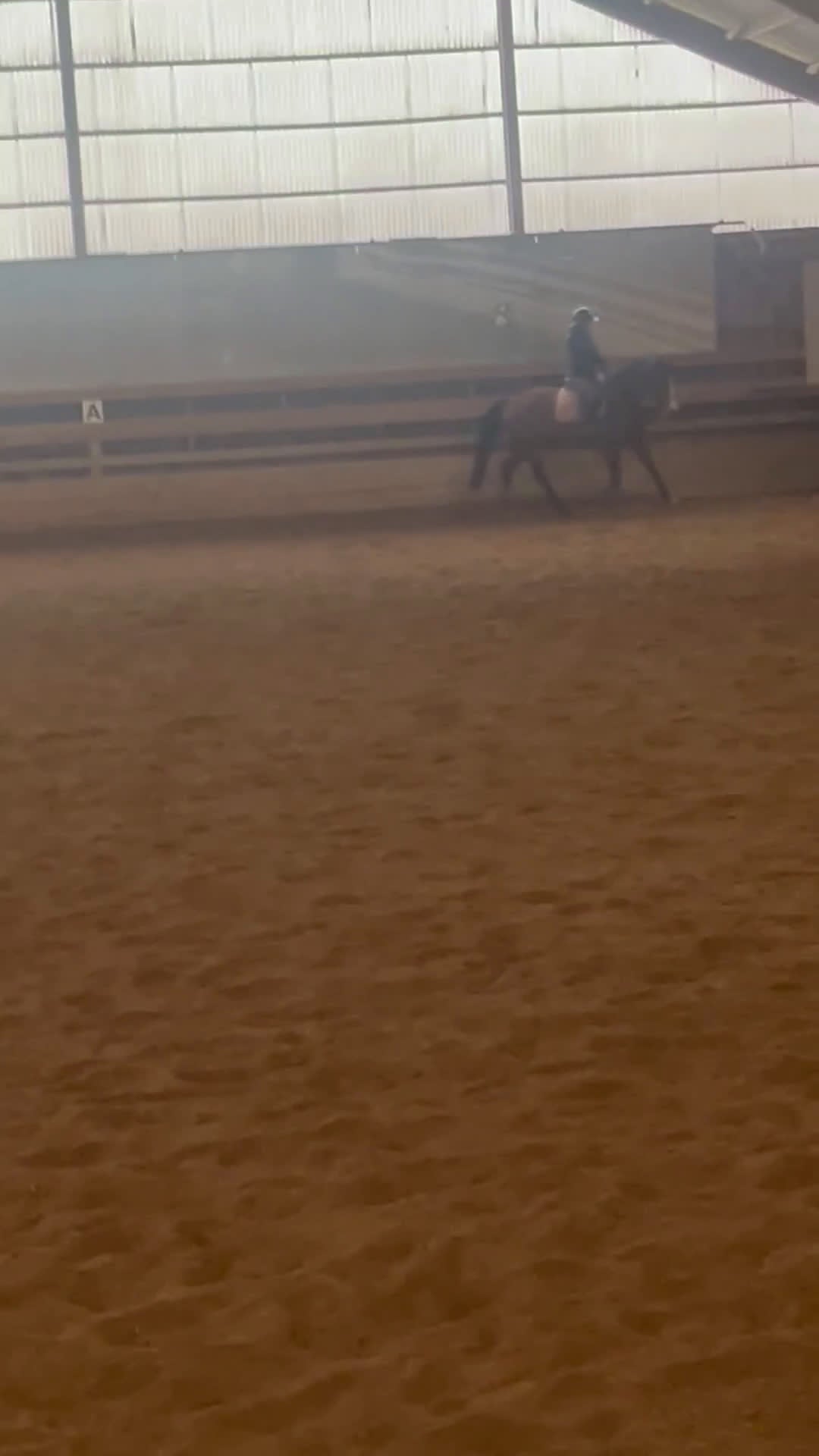 Allround hästar till salu: Perfekt sto för framtiden!  i Nybro - Video 3