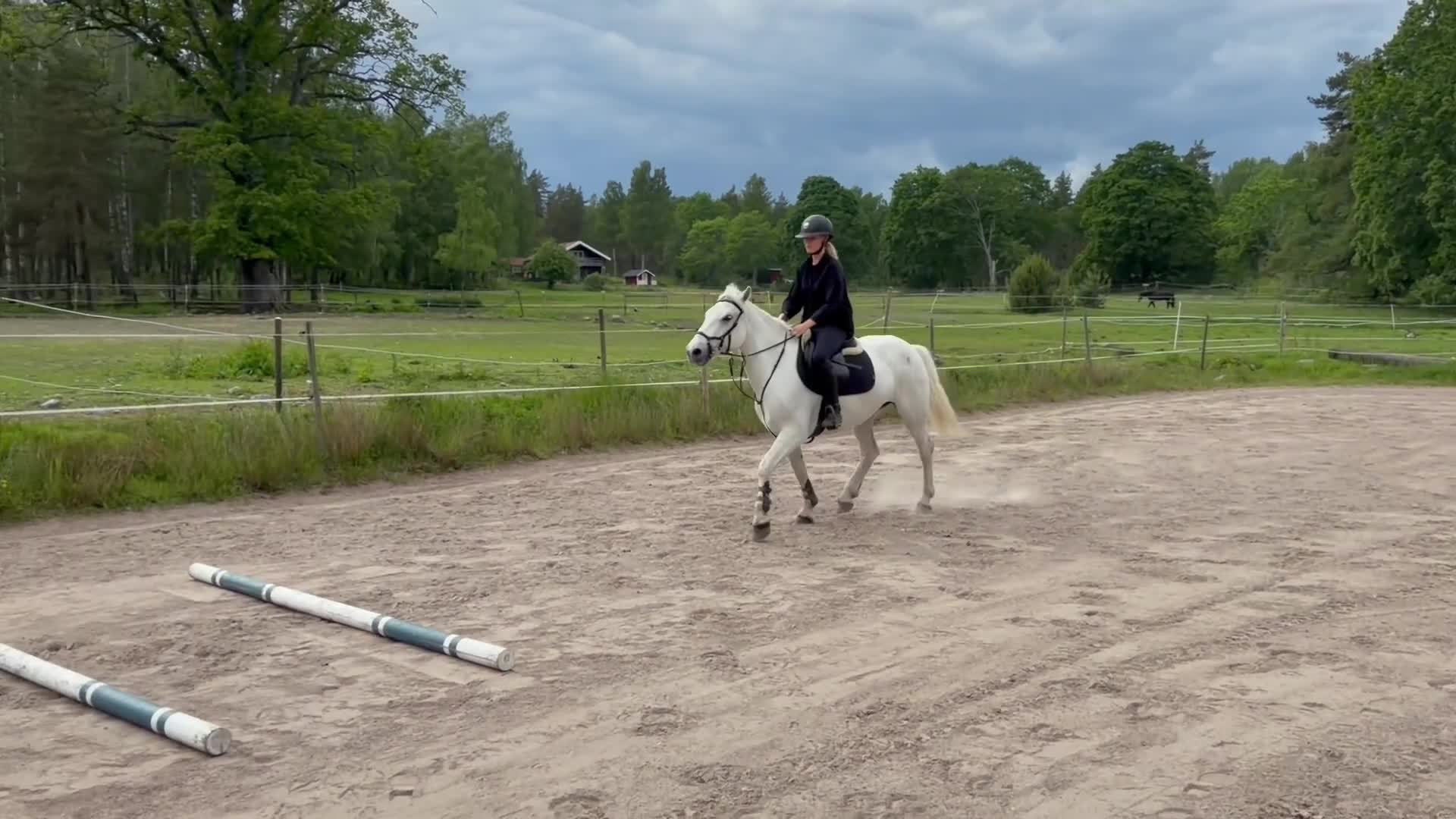 Allround hästar till salu: Härlig Ponny  - Video 1